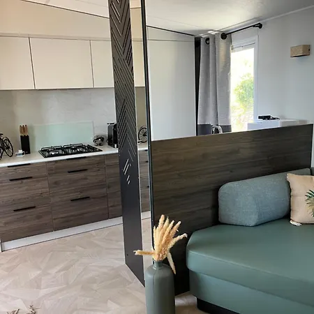 Camping View And Dream