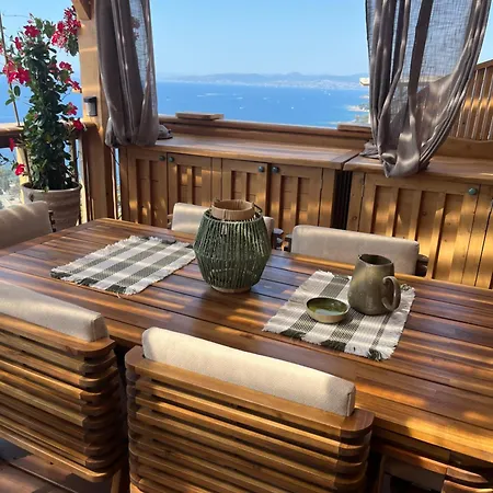 Camping View And Dream *